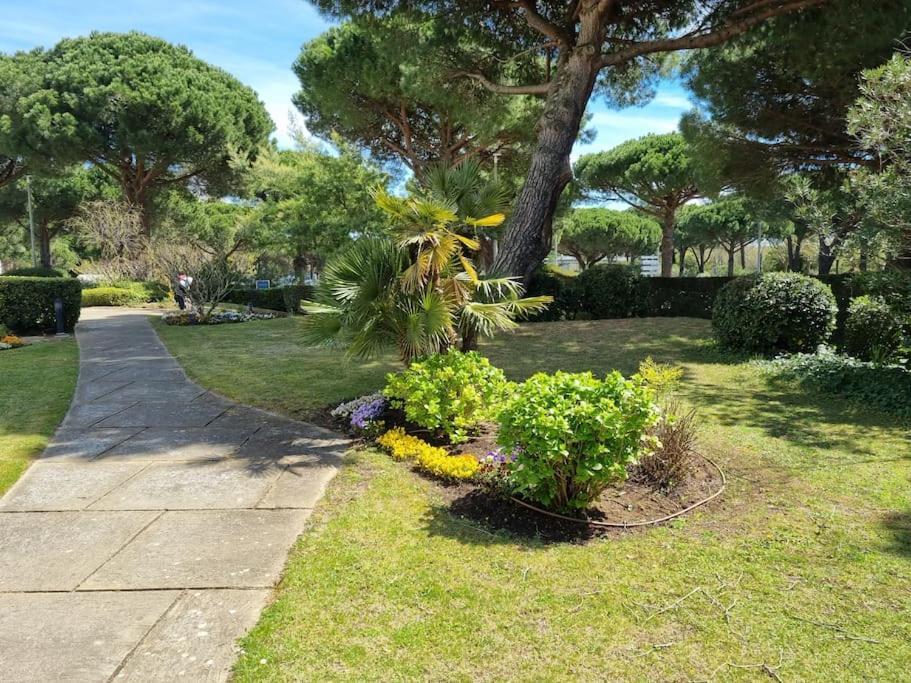 Superbe T2 Tout Confort 3 Etoiles, Entierement Renove Avec Piscine, Parking, Clim, Wifi, Netflix La Grande Motte Exterior foto